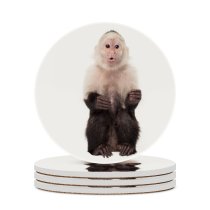 yanfind Ceramic Coasters (round) Monkey Capuchin Studio Shot Portrait California Culver City Facial Expression Gossip Mouth Family Game Intellectual Educational Game Jigsaw Puzzle Toy Set