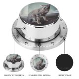 yanfind Timer Lovely Kitty Images Pet  Manx Wallpapers Decor Abyssinian Free Blueish Pictures 60 Minutes Mechanical Visual Timer