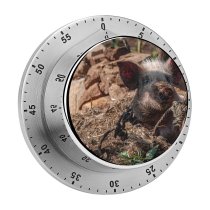 yanfind Timer Images Hog Ground Slum Pictures Pig PNG Boar Poverty 60 Minutes Mechanical Visual Timer