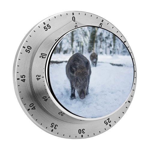 yanfind Timer Images Hog Wildlife Wallpapers Grey Pictures Pig Dog Boar Pet  Free 60 Minutes Mechanical Visual Timer