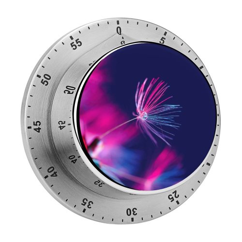 yanfind Timer Bruno Glätsch Flowers Dandelion Seeds Flower Drop  Purple Light Dark Blurred 60 Minutes Mechanical Visual Timer