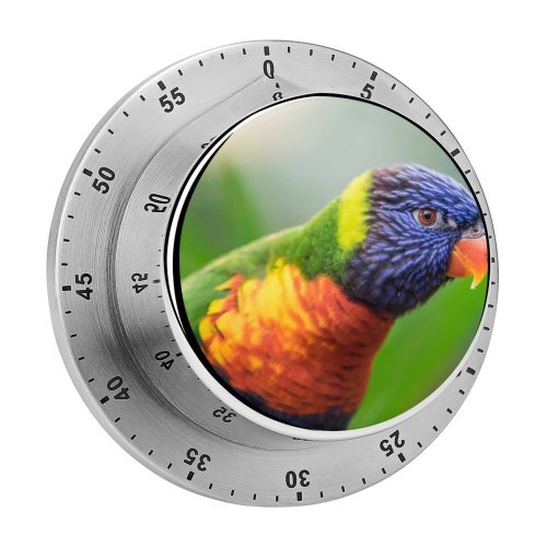 yanfind Timer William Warby Rainbow Lorikeet Colorful Closeup Bokeh Bird 60 Minutes Mechanical Visual Timer