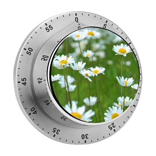 yanfind Timer Images Floral Spring Flora Flowers Landscape Wallpapers Plant Bloom Stock Free Pictures 60 Minutes Mechanical Visual Timer