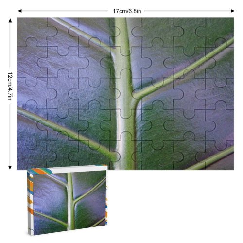 yanfind Picture Puzzle Leaf Texture Plant Botany Stem Terrestrial Flower Family Game Intellectual Educational Game Jigsaw Puzzle Toy Set