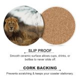 yanfind Ceramic Coasters (round) Images Lion Wildlife Africa Pictures PNG Kgalagadi Family Game Intellectual Educational Game Jigsaw Puzzle Toy Set