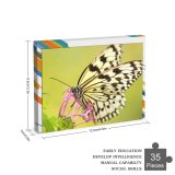yanfind Picture Puzzle Images Taiwan Insect Spring Wing Wallpapers Borisworkshop Bloom Free Monarch Invertebrate Pictures Family Game Intellectual Educational Game Jigsaw Puzzle Toy Set