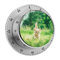 yanfind Timer Andriyko Podilnyk Kitten Cute Grass Bokeh Baby Cat 60 Minutes Mechanical Visual Timer