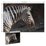 yanfind Picture Puzzle Zebra Vertebrate Wildlife Terrestrial Snout Organism Adaptation Whiskers Family Game Intellectual Educational Game Jigsaw Puzzle Toy Set