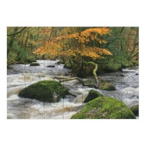 yanfind Picture Puzzle River Rocks Wood Trees Autumn Beautiful Beauty Branches Clean Countryside Fall Foliage Family Game Intellectual Educational Game Jigsaw Puzzle Toy Set
