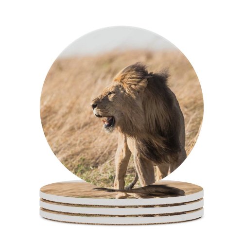 yanfind Ceramic Coasters (round) Images Alpha Leader Kruger Africa Wildlife Safari Stand Pictures Mane Creative Teeth Family Game Intellectual Educational Game Jigsaw Puzzle Toy Set