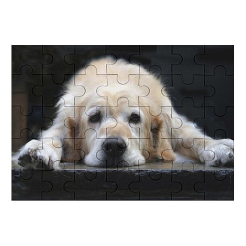 yanfind Picture Puzzle Golden Dogs Dog Vertebrate Canidae Carnivore Sporting Snout Fur Family Game Intellectual Educational Game Jigsaw Puzzle Toy Set