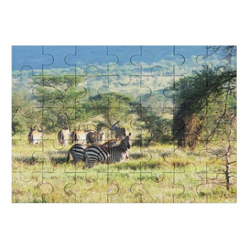 yanfind Picture Puzzle Zebra Wildlife Africa Savanna Grassland Terrestrial Natural Plant Community Wilderness Safari Family Game Intellectual Educational Game Jigsaw Puzzle Toy Set