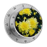 yanfind Timer Images Arrangement Petal Flowers Wallpapers Dahlia Plant Asteraceae Pollen Stock Free Daisy 60 Minutes Mechanical Visual Timer