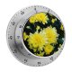 yanfind Timer Images Arrangement Petal Flowers Wallpapers Dahlia Plant Asteraceae Pollen Stock Free Daisy 60 Minutes Mechanical Visual Timer