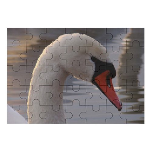 yanfind Picture Puzzle  Lochs Bird Vertebrate Beak Ducks Geese Swans Waterfowl Neck Family Game Intellectual Educational Game Jigsaw Puzzle Toy Set