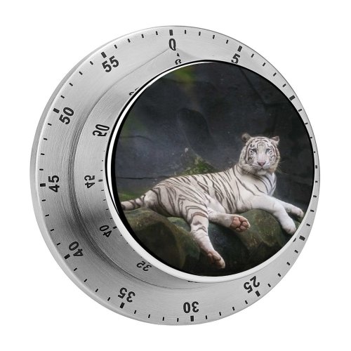 yanfind Timer Anek Suwannaphoom Bengal  Cave  Wild 60 Minutes Mechanical Visual Timer