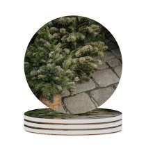 yanfind Ceramic Coasters (round) Fir Images Yew Christmas Land Pottery Potted Public Slate Jar Vase Plant Family Game Intellectual Educational Game Jigsaw Puzzle Toy Set
