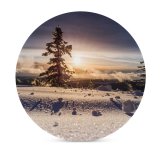 yanfind Ceramic Coasters (round) Fir Images Kirkwood  Flora Pine Landscape Public Snow Sky Wallpapers Plant Family Game Intellectual Educational Game Jigsaw Puzzle Toy Set