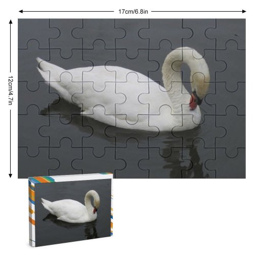 yanfind Picture Puzzle Cleaning Feathers  Pond Park Bird Birds Regal Lake Vertebrate Beak Ducks Family Game Intellectual Educational Game Jigsaw Puzzle Toy Set
