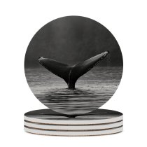 yanfind Ceramic Coasters (round) Images Grizzly  HQ Buckelwal Lodge Waddington Fluke Sea Wallpapers  Sailcone Family Game Intellectual Educational Game Jigsaw Puzzle Toy Set