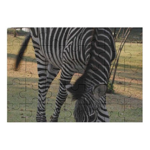 yanfind Picture Puzzle Zebra Terrestrial Vertebrate Wildlife Grass Grazing Grassland Snout Family Game Intellectual Educational Game Jigsaw Puzzle Toy Set