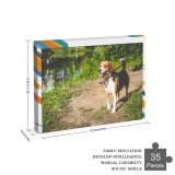 yanfind Picture Puzzle Ground Images Pet  Hound Grass Wallpapers Pedigreed Beagle Stock Free Aquatic Family Game Intellectual Educational Game Jigsaw Puzzle Toy Set