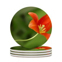 yanfind Ceramic Coasters (round) Tulip Flower Flowering Plant Petal Botany Pedicel Stem Family Game Intellectual Educational Game Jigsaw Puzzle Toy Set