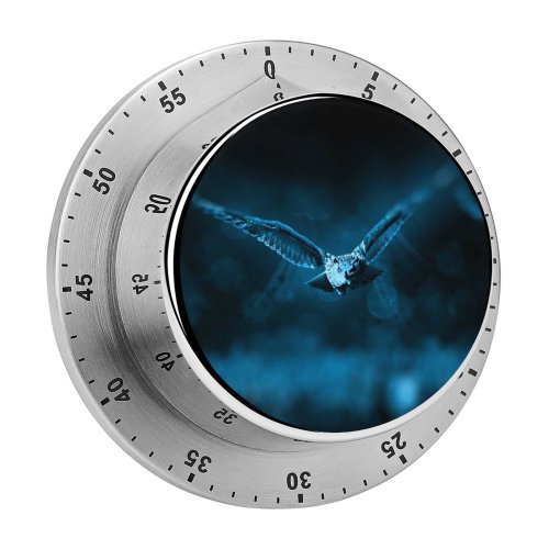 yanfind Timer Comfreak Black Dark  Dark Moonlight Forest Bokeh Flying 60 Minutes Mechanical Visual Timer