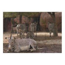 yanfind Picture Puzzle Zebras Zebra Stripes Contrast Horse Africa Terrestrial Vertebrate Wildlife Snout Adaptation Family Game Intellectual Educational Game Jigsaw Puzzle Toy Set