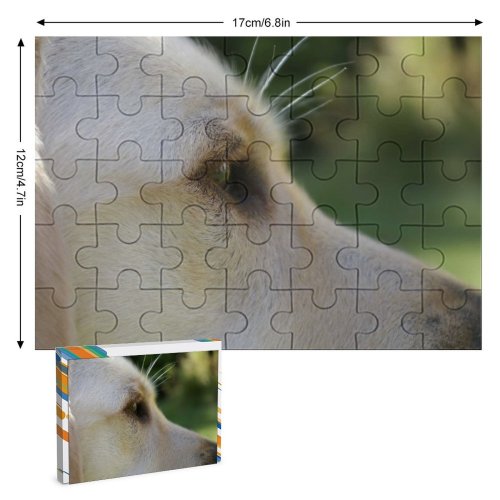 yanfind Picture Puzzle Dog Dogs Labradors Golden Guide Canidae Nose Snout Carnivore  Whiskers Family Game Intellectual Educational Game Jigsaw Puzzle Toy Set