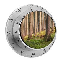 yanfind Timer Johny Goerend Tree Trunks Forest Greenery Outdoor Daytime Woods 60 Minutes Mechanical Visual Timer