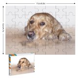yanfind Picture Puzzle Dog Golden Sweet Canidae Carnivore Snout Nose  Sporting Puppy Family Game Intellectual Educational Game Jigsaw Puzzle Toy Set
