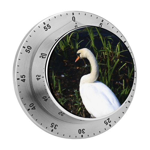 yanfind Timer  Swans Feather Feathers Lake Grey Pond Duck Marsh Ballet Dance Bird 60 Minutes Mechanical Visual Timer