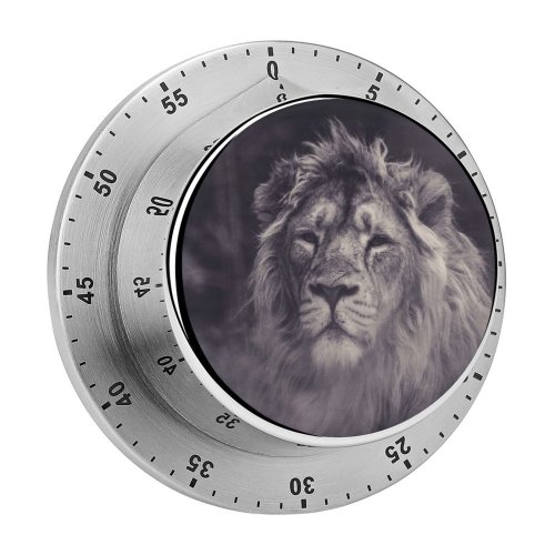 yanfind Timer Images Carnivore Eskilstuna Wallpapers Wildlife Free  Pictures Beast Mane Big Firce 60 Minutes Mechanical Visual Timer