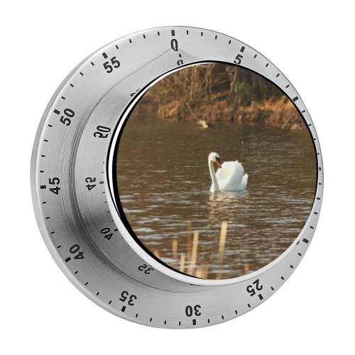 yanfind Timer  Swans Browns Lake Bird Ducks Geese Beak Waterfowl Wildlife Grass Family 60 Minutes Mechanical Visual Timer