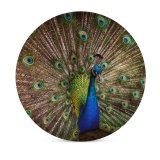yanfind Ceramic Coasters (round) Paul Carmona  Peafowl Beautiful Feathers Closeup Bird Colorful Family Game Intellectual Educational Game Jigsaw Puzzle Toy Set