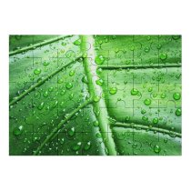 yanfind Picture Puzzle Leaf Texture Dew Moisture Drop Plant Terrestrial Macro Family Game Intellectual Educational Game Jigsaw Puzzle Toy Set