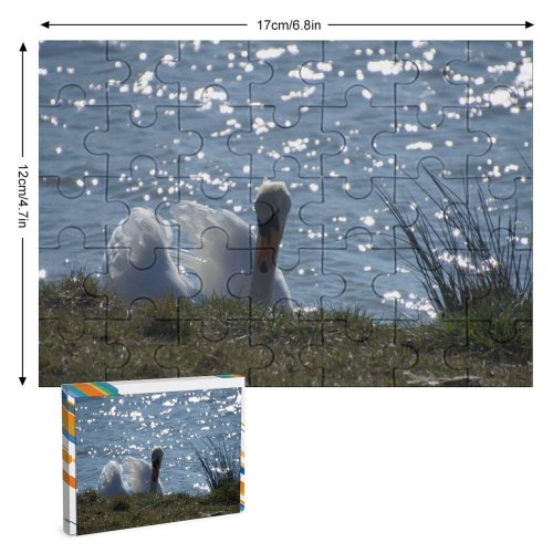 yanfind Picture Puzzle  Lake Shore Waterside Beautiful Bird Ducks Geese Swans Grass Family Beak Family Game Intellectual Educational Game Jigsaw Puzzle Toy Set