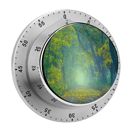 yanfind Timer Johannes Plenio Forest Path Foggy Foliage Spring Leaves 60 Minutes Mechanical Visual Timer