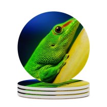 yanfind Ceramic Coasters (round) Lizard Closeup Macro Reptile Vivid HDR Family Game Intellectual Educational Game Jigsaw Puzzle Toy Set