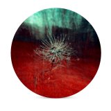 yanfind Ceramic Coasters (round) Web Images Colorful Layers Dry Filed  Wallpapers Supernatural  Mystical Multilayer Family Game Intellectual Educational Game Jigsaw Puzzle Toy Set