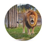 yanfind Ceramic Coasters (round) Images Roaring Yorkshire Pet Public Tail Wildlife Chow Branton Doncaster Pictures Game Family Game Intellectual Educational Game Jigsaw Puzzle Toy Set