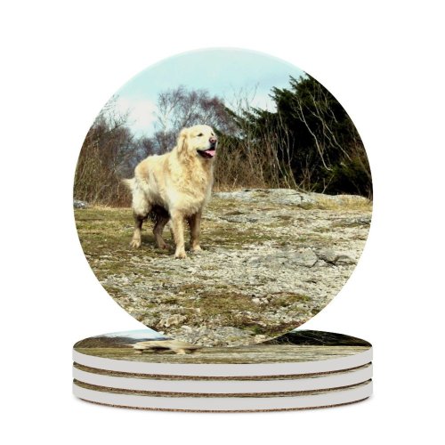 yanfind Ceramic Coasters (round) Tree  Plants Flowers Wood Walk Hill Foliage Dog Stone Wall Golden Family Game Intellectual Educational Game Jigsaw Puzzle Toy Set