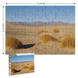 yanfind Picture Puzzle Desert Sand Dune  Natural Ecoregion Landscape Grass Family Aeolian  Sahara Family Game Intellectual Educational Game Jigsaw Puzzle Toy Set