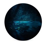 yanfind Ceramic Coasters (round) Grafixart Forest River Night Dark Magical   Fairies Family Game Intellectual Educational Game Jigsaw Puzzle Toy Set