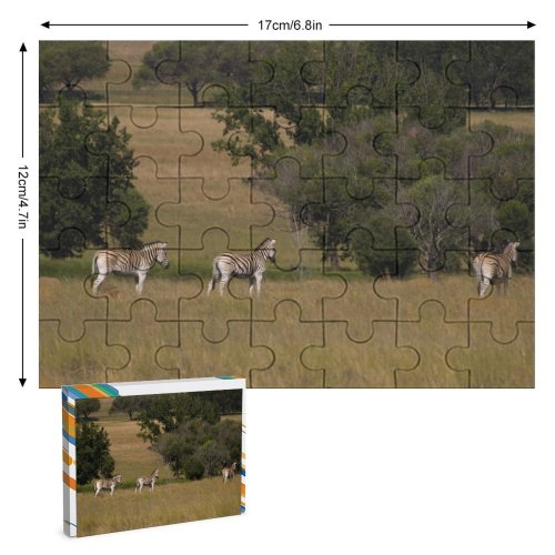 yanfind Picture Puzzle Zebra Wild Africa Wildlife  Grassland Canidae Meadow Grass Savanna Safari Wolfdog Family Game Intellectual Educational Game Jigsaw Puzzle Toy Set