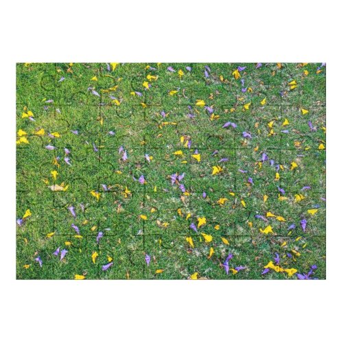 yanfind Picture Puzzle Images Land Grassland Wallpapers Clear Meadow Plant Outdoors Amatitlán Natural Scenic Flower Family Game Intellectual Educational Game Jigsaw Puzzle Toy Set