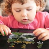 yanfind Picture Puzzle River Rocks Wood Trees Autumn Beautiful Beauty Branches Clean Countryside Fall Foliage Family Game Intellectual Educational Game Jigsaw Puzzle Toy Set