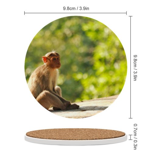 yanfind Ceramic Coasters (round)  Images India Public Salem Wildlife Lonely Wallpapers Old  Pictures Baboon Family Game Intellectual Educational Game Jigsaw Puzzle Toy Set
