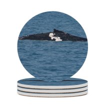 yanfind Ceramic Coasters (round) Images Sea Wallpapers Grey Pictures  Whale Stock Free Family Game Intellectual Educational Game Jigsaw Puzzle Toy Set
